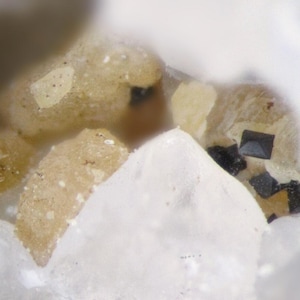 May include: Close-up of a mineral sample featuring a cluster of tan, beige, and white crystalline structures. Small, dark, cubic crystals are interspersed throughout the sample, creating a textured appearance.