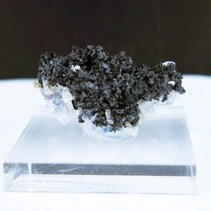 Könnte beinhalten: Dunkle, strukturierte Mineralprobe mit einem Cluster aus schwarzen, kristallinen Formationen auf einem transparenten, rechteckigen Präsentationsständer. Das Mineral hat kleine weiße und blaue Akzente.