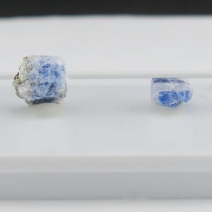 May include: Two raw, unpolished blue and white mineral crystals resting on a white rectangular display tray. The larger crystal on the left features a rough, textured surface with mixed blue and white tones, while the smaller crystal on the right is smoother with a translucent blue appearance.