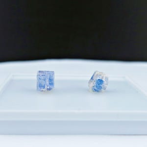 May include: Two blue crystals with a crystalline structure are displayed on a white tray against a black background. One crystal is a cube, the other is more irregular. The crystals have a translucent appearance.