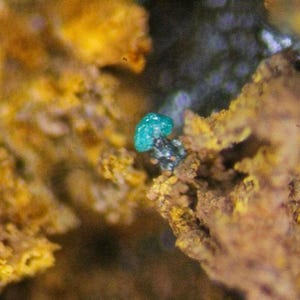 May include: Close-up of a mineral specimen featuring a vibrant, turquoise-colored crystal formation. The crystal sits atop a matrix of yellow and brown earthy material, creating a striking contrast. The image highlights the natural textures and colors of the mineral.