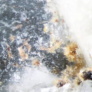 Raite, MSH, Poudrette-stenbrottet, Mont St. Hilaire, Quebec, Kanada. Mineralprov. Symmetrimineraler