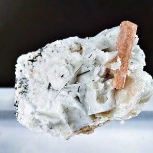 May include: A close-up of a white, crystalline mineral specimen with a single, long, orange-red crystal protruding from the center. The specimen is surrounded by black, needle-like crystals.