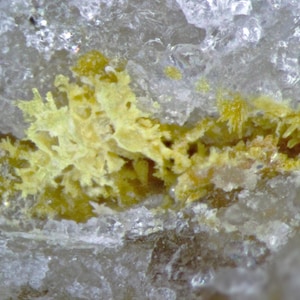 Könnte beinhalten: Nahaufnahme eines gelben Mineralproben mit kristalliner Struktur. Das Mineral ist in eine weiße, durchscheinende Matrix eingebettet.