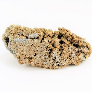 May include: A rough, brown and gray rock with a porous texture. The rock has a natural, earthy appearance.