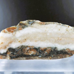 May include: A banded, white, gray, and brown rock specimen with a layered appearance.