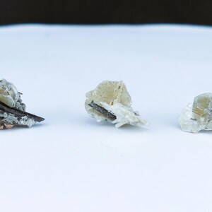 May include: Three small, rough-textured mineral specimens. The minerals are primarily off-white and translucent, with dark, elongated inclusions. The specimens are arranged on a white surface, with a dark background.