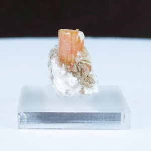 May include: A peach-colored crystal formation atop a cluster of white and tan minerals, displayed on a clear, rectangular acrylic base. The crystal has a vertical, columnar structure. The background is a gradient of white to dark brown.