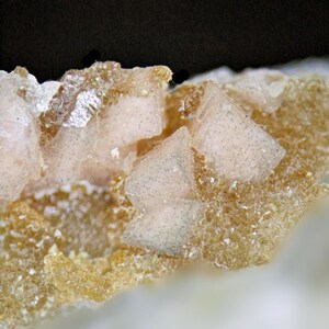 Könnte beinhalten: Nahaufnahme einer Mineralprobe mit durchscheinenden, hellrosa, dreieckigen Kristallen mit winzigen dunklen Einschlüssen. Die Kristalle sind auf einer rauen, goldbraunen und cremeweißen Matrix angeordnet.