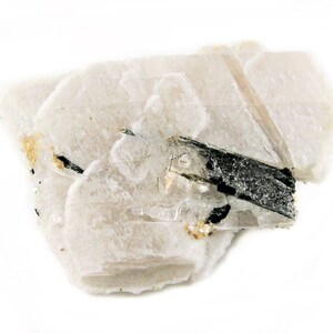 May include: A close-up of a mineral specimen with a layered, off-white base and a dark, black, crystalline structure. Small flecks of gold and black are scattered across the surface, creating a contrast against the white background.
