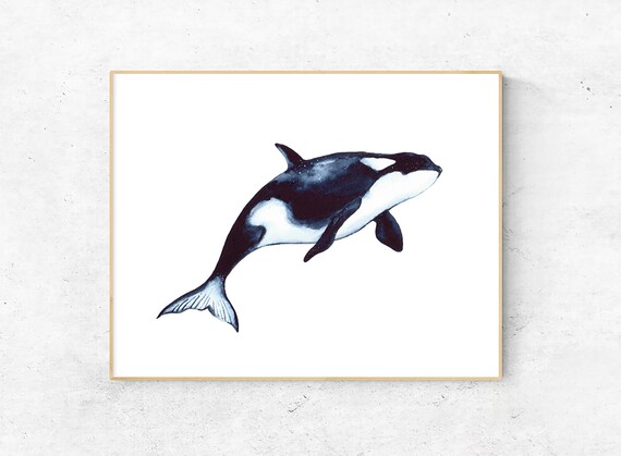 Killer Whale Watercolor Painting Printable Wall Art | Etsy