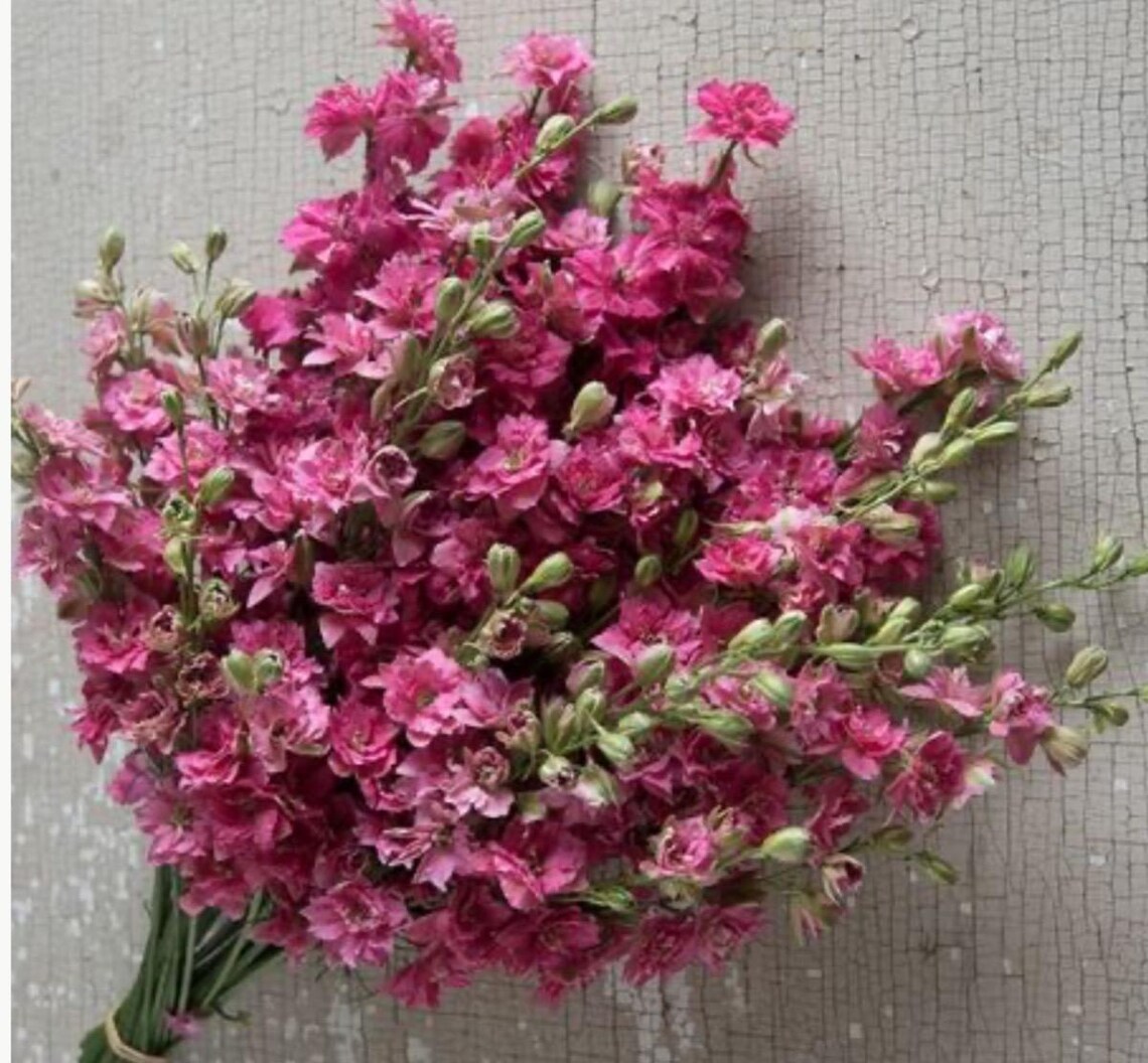 100 Cottage Garden Flowers Seeds/ Cut Flowers Bouquet/ Pressed Flowers