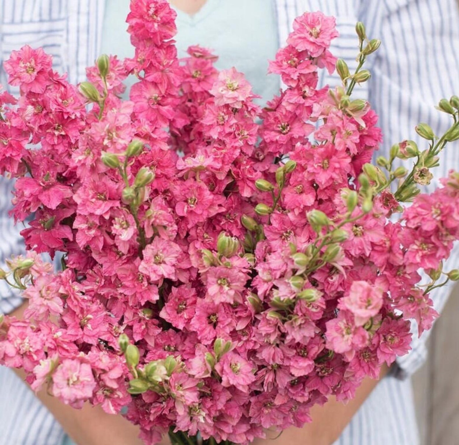 100 Cottage Garden Flowers Seeds/ Cut Flowers Bouquet/ Pressed Flowers