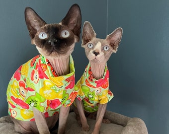 Tenue cocktail de fruits pour sphynx/petits animaux de compagnie