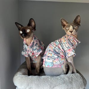 Winter Cats Outfit for Sphynx/Small Pets