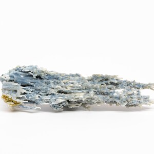 May include: A blue and white dendritic agate specimen with a branching, tree-like formation. The agate has a rough, natural texture and is a unique piece of mineral art.