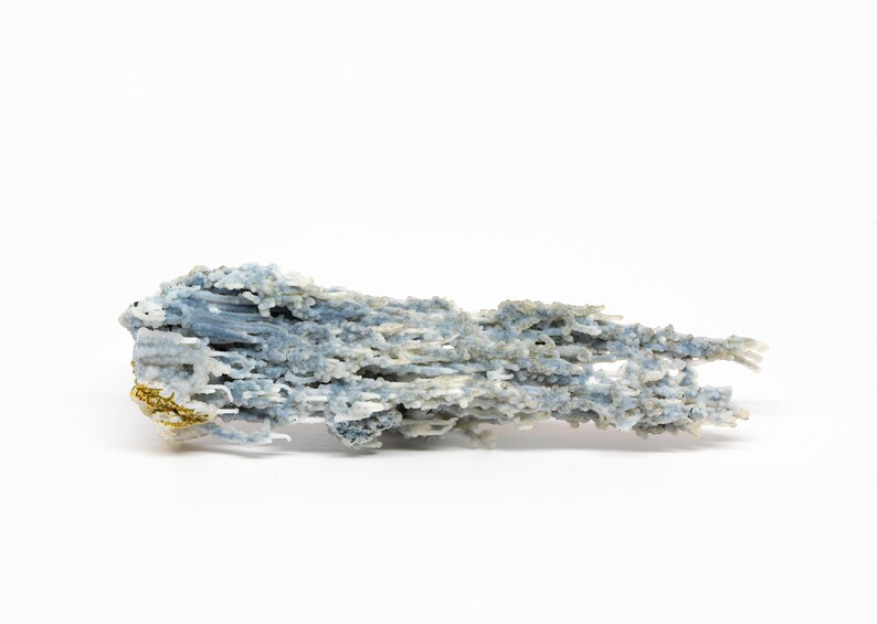 May include: A blue and white dendritic agate specimen with a branching, tree-like formation. The agate has a rough, natural texture and is a unique piece of mineral art.