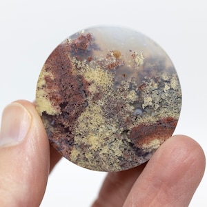 Moss Agate Cabochon | Moss Agate Disc | Crystal Lover Gift