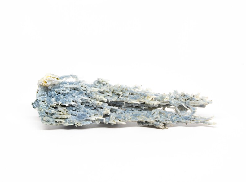 May include: A blue and white agate geode with a unique, branching, crystalline structure. The geode is a natural formation with a rough, textured surface.