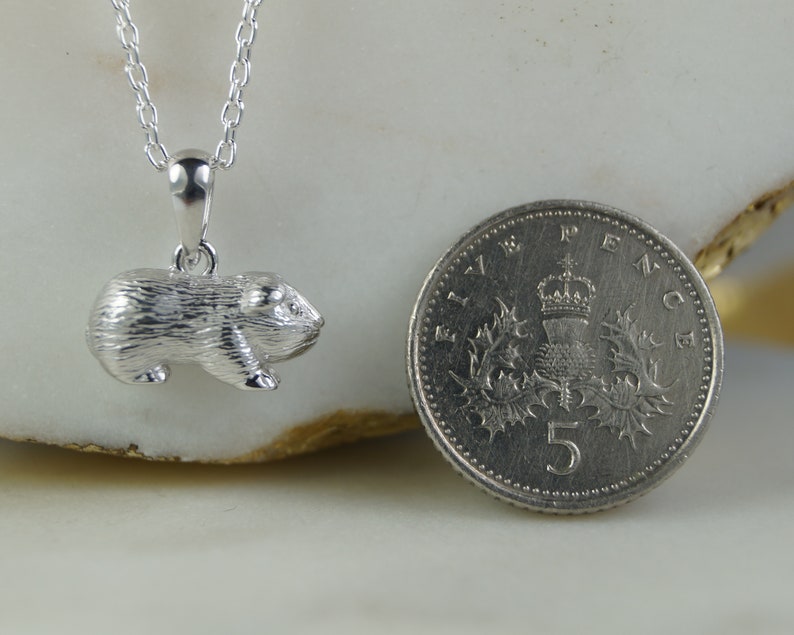 Sterling Silver Guinea Pig Necklace, Guinea Pig Necklace, Guinea Pig Pendant, Guinea Pig Charm. image 8