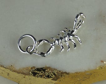 Charm de plata de ley con el signo zodiacal de Escorpio.