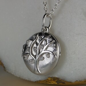 Può includere: Collana con pendente color argento con un medaglione rotondo con un design ad albero della vita. L'albero ha rami e foglie dettagliate, con piccoli accenti scintillanti. Il pendente è appeso a una catena delicata.