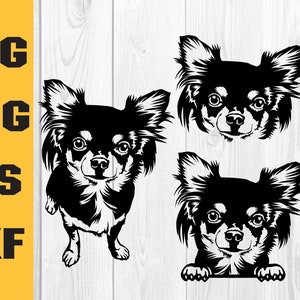 Chihuahua svg, dog svg cricut, cute animal face,Chihuahua Cut File, Chihuahua Clipart, Digital Download Clipart SVG