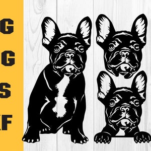 French Bulldog SVG, Frenchie clipart, Dog svg, Breed, Digital Download Clipart SVG