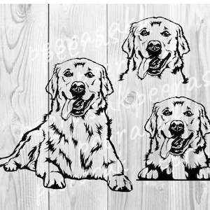 Golden Retriever Svg, Goldie Svg, Golden Retriever Png, Golden Retriever Silhouette, Digital Download Clipart