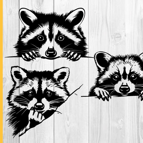 Raccoon Svg, Peeking Raccoon Svg, Peeking Animal Svg, Wildlife Svg, Rodent Clipart, Png Dxf Ai Svg