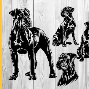 Cane corso svg, Peeking Dog Svg, Cane Corso Puppy Cut Files, Cane Corso Files for Cricut, mastiff art, breed vector clipart, png, download