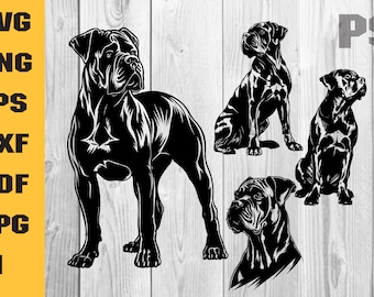 Svg Cane corso, Peeking Dog Svg, Cane Corso chiot coupe fichiers, fichiers Cane Corso pour Cricut, mastiff art, clipart vectoriel race, png, téléchargement