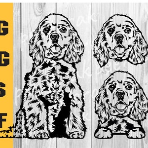 American Cocker Spaniel Svg, dog svg file for cricut, Face, Head, breed dxf, cameo vector clipart, download eps, ai, svg, dxf, png