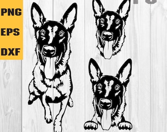 Belgian Malinois Svg, dog svg file for cricut, funny Face, breed vector, clipart, PNG Clipart Vector Cricut Cut Cutting