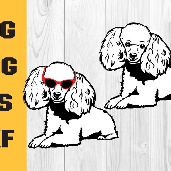 Poodle svg, dog svg, Poodle Peeking SVG, Poodle Peeking Png, Eps, Dxf, Digital Download Clipart