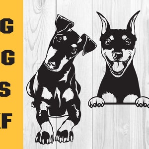 Manchester Terrier SVG, Manchester Terrier Svg, Dog Svg, Manchester Terrier Dxf, Digital Download Clipart