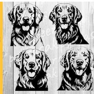 Golden Retriever SVG, Perfect for Dog Lovers, DIY Crafts, vector graphics, Download, PNG