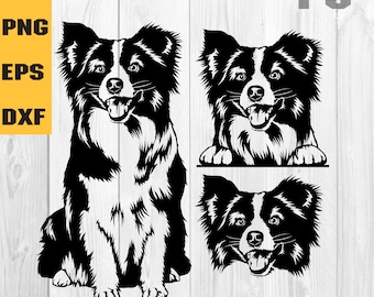 Australian shepherd svg, Aussie Svg, Australian Shepherd Decal Svg, Digital Download Clipart SVG