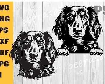 Dachshund de pelo largo svg, Cara de perro svg Cricut, Vector de mascota mirando, orejas retrato vector gráfico png diseño digital, imágenes prediseñadas, DXF
