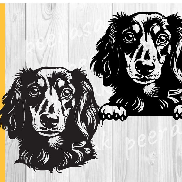 Longhaired Dachshund svg, Dog face svg Cricut, Peeking pet Vector, ears portrait vector graphic png digital design, clipart, DXF