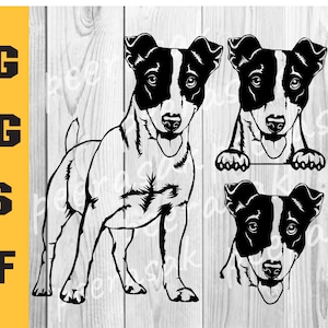 Jack Russell Terrier svg, Silhouettes dxf, Dog SVG Files for Cricut, terrier clipart, Dog Cut file, animal svg, vector dog