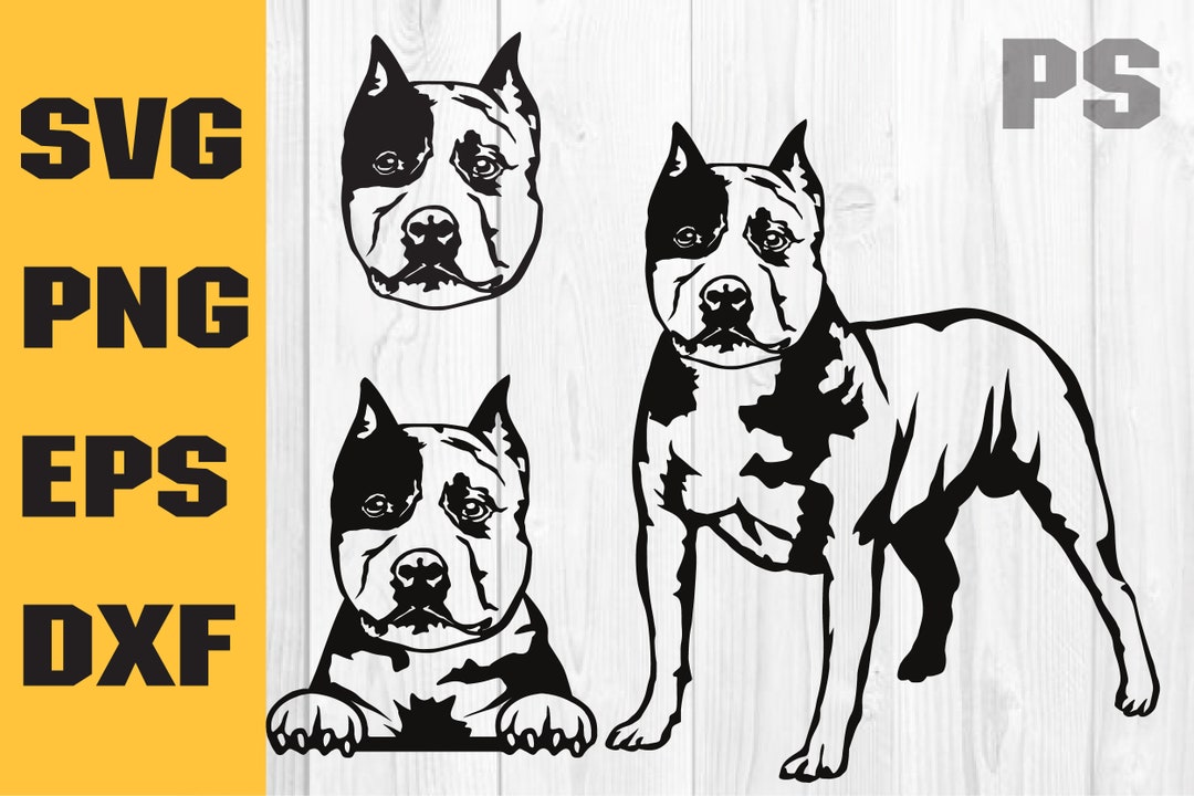 Pitbull Svg, American Pit Bull Svg, Pitbull Clipart, Pitbull Vector