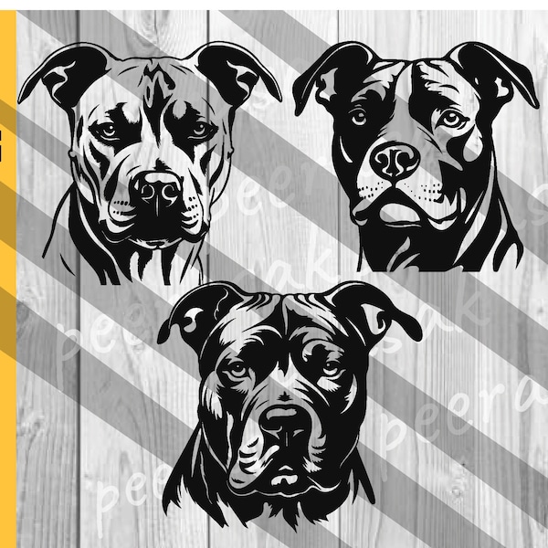 Pitbull Svg, American Pit Bull Svg, Pitbull Clipart, Pitbull Vector, Pitbull Cricut, Dog Paw Svg, Svg, Png, Eps, Dxf, Cutting File Download