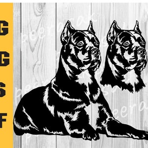 Cane corso svg, Peeking Dog Svg, Cane Corso Puppy Cut Files, Cane Corso Files for Cricut, mastiff art, breed vector clipart, png, download