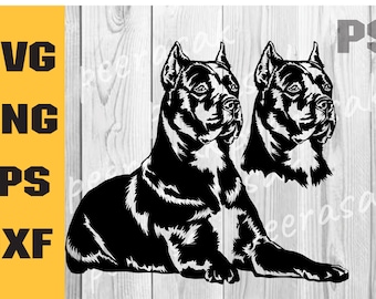 Cane corso svg, Peeking Dog Svg, Cane Corso Puppy Cut Files, Cane Corso Files for Cricut, mastiff art, breed vector clipart, png, télécharger