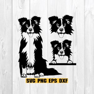 Border Collie Svg, Dog Svg File For Cricut, Face, Peeking Head Paws, Breed, Plasma Dxf CNC, Peekaboo, Laser Cut Vector Clipart, Png Download