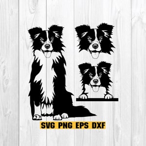 Brown Border Collie Animal Pattern Style by Colorful Jean Baptiste ·  Creative Fabrica