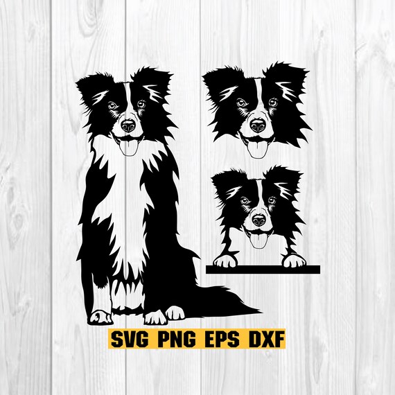 Border Collie Svg, Dog Svg File for Cricut, Face, Peeking Head