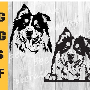 Australian shepherd svg, Aussie Svg, Australian Shepherd Decal Svg, Digital Download Clipart SVG