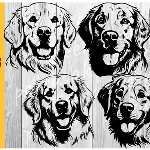Golden Retriever SVG, Perfect for Dog Lovers, DIY Crafts, vector graphics, Download, PNG